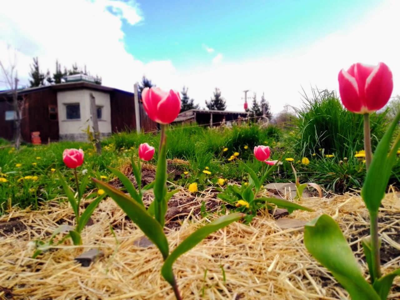 Arriba La Luna - Ecovilla Rural Trevelín Zewnętrze zdjęcie